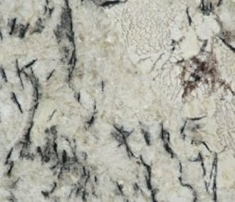 Artic Cream Granite Slabs and Counter Tops
